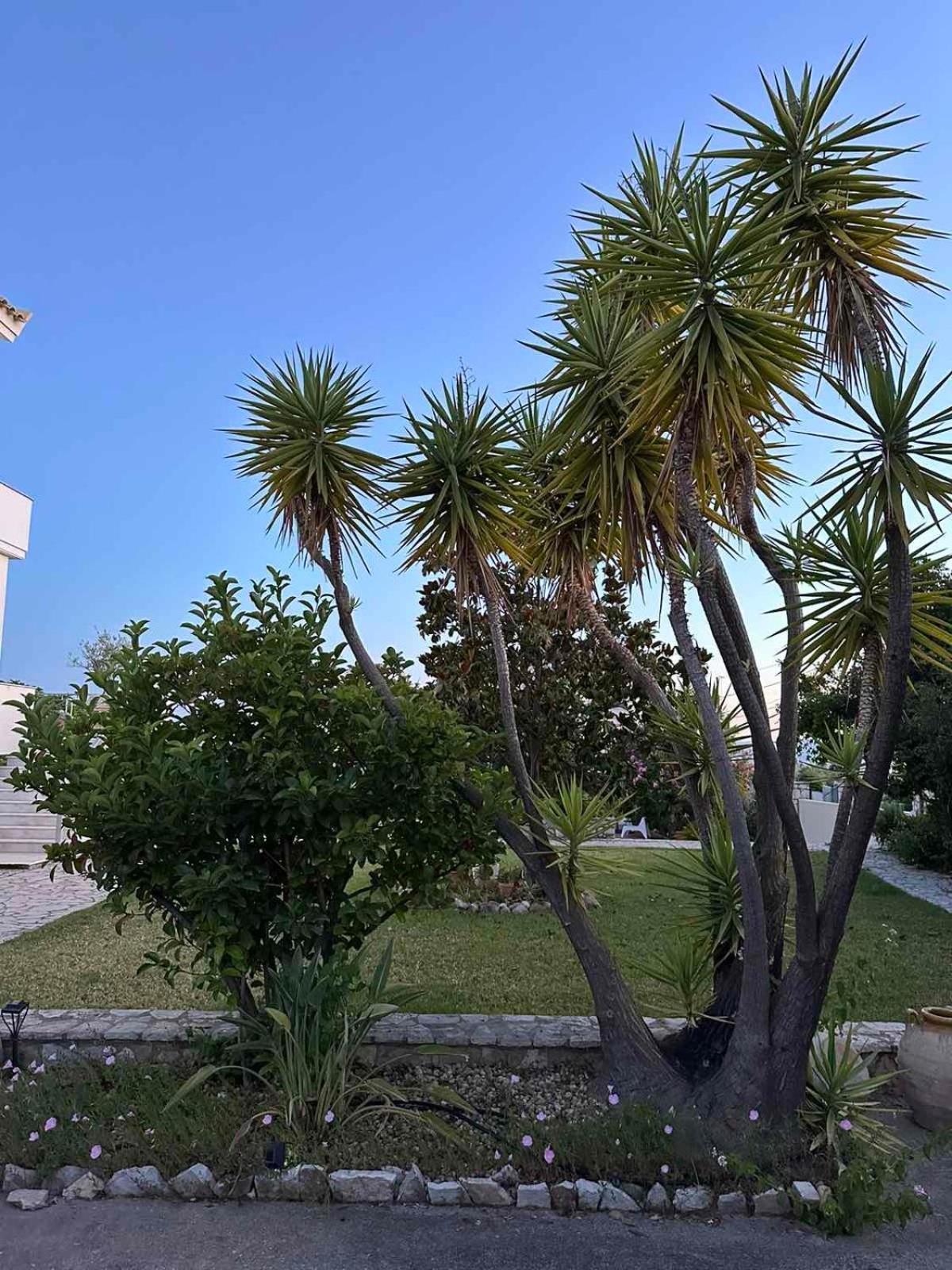 Anamnesis. Feel The Mediterranean. Kalamata Extérieur photo